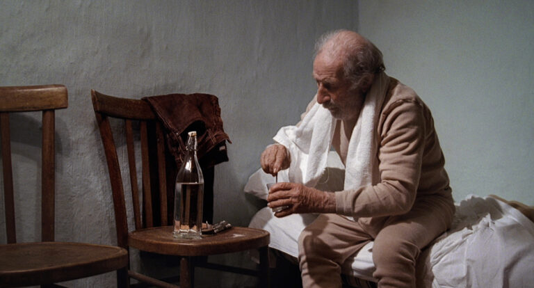 Read more about the article CRÍTICA | As Quatro Voltas (2010), Michelangelo Frammartino